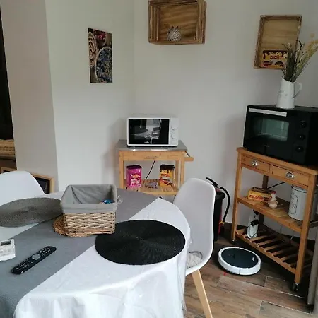 Paradise * 카시스