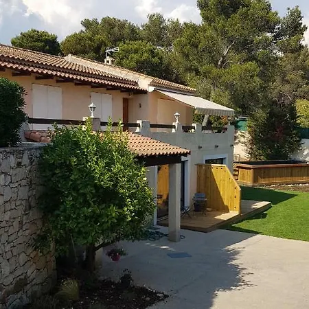 Paradise Daire Cassis